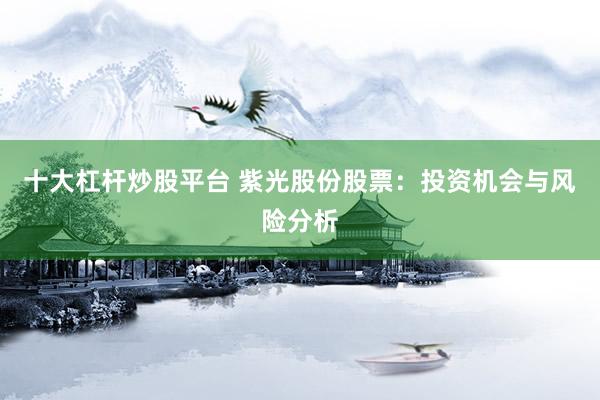 十大杠杆炒股平台 紫光股份股票：投资机会与风险分析