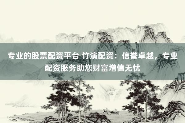 专业的股票配资平台 竹演配资：信誉卓越，专业配资服务助您财富增值无忧