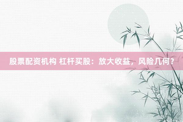 股票配资机构 杠杆买股：放大收益，风险几何？