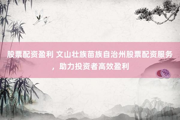 股票配资盈利 文山壮族苗族自治州股票配资服务，助力投资者高效盈利