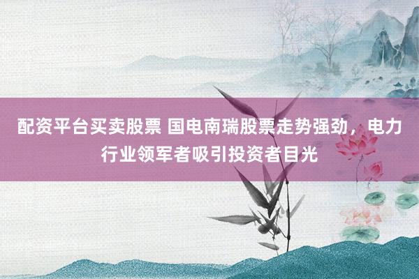 配资平台买卖股票 国电南瑞股票走势强劲，电力行业领军者吸引投资者目光