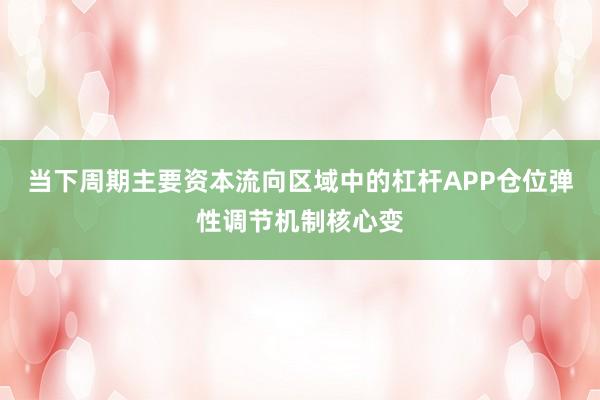 当下周期主要资本流向区域中的杠杆APP仓位弹性调节机制核心变