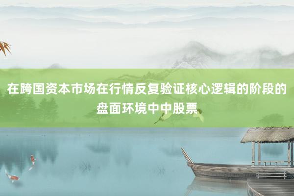 在跨国资本市场在行情反复验证核心逻辑的阶段的盘面环境中中股票