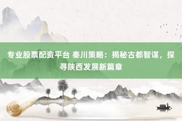 专业股票配资平台 秦川策略：揭秘古都智谋，探寻陕西发展新篇章